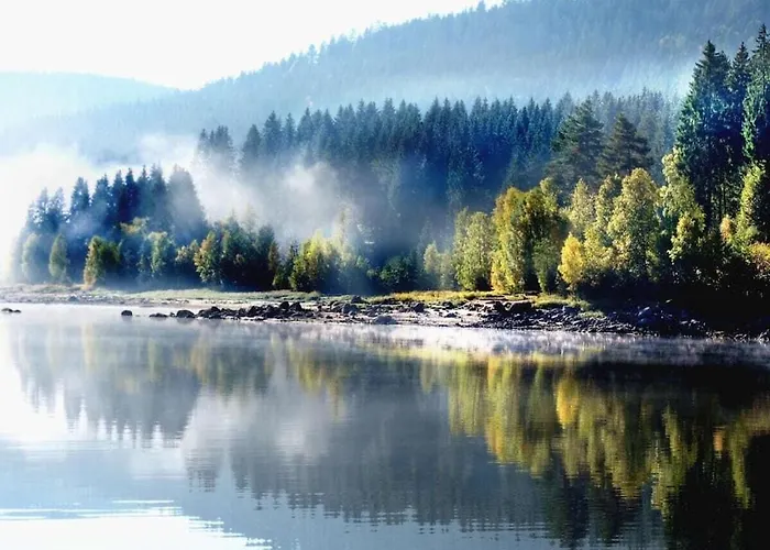 With 2 Bedrooms Tatil Evi Menzenschwand-Hinterdorf